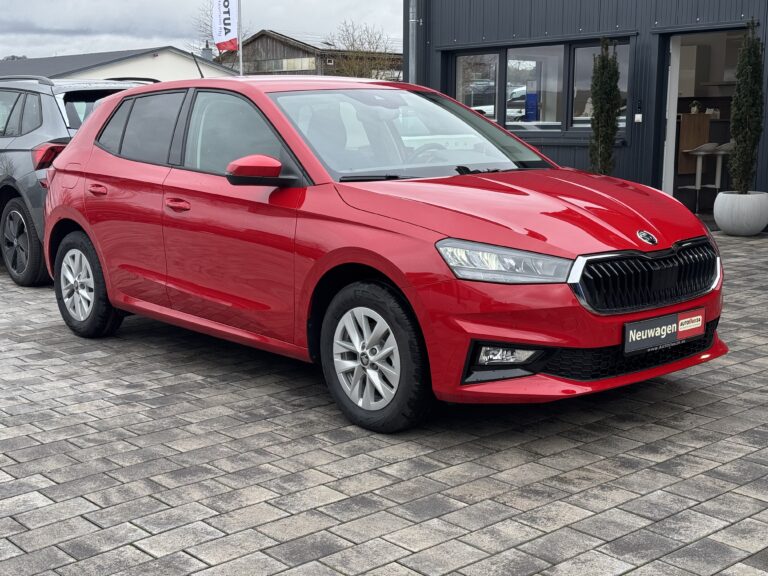 Skoda Fabia Reimport EU-Neuwagen