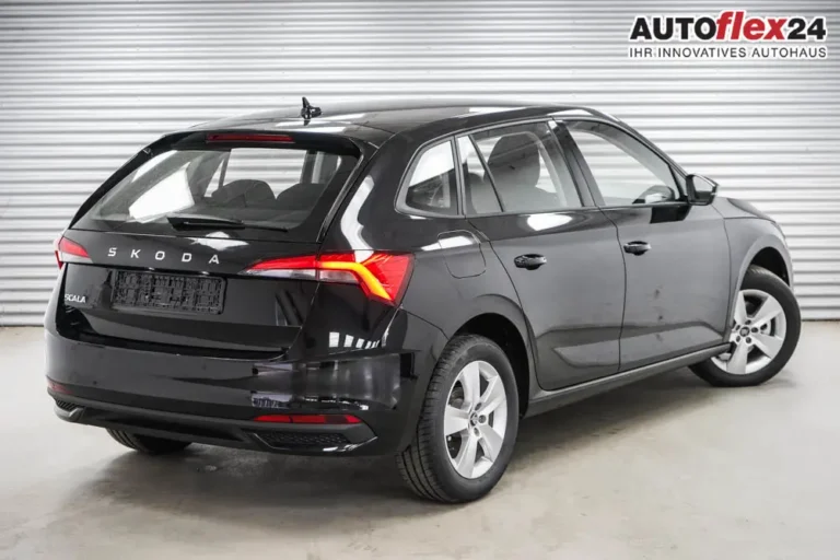 Skoda Scala Reimport Selection